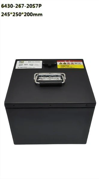 Baterie LiFePo4 64V 30Ah pentru vehicule electrice pentru vizitarea obiectivelor turistice